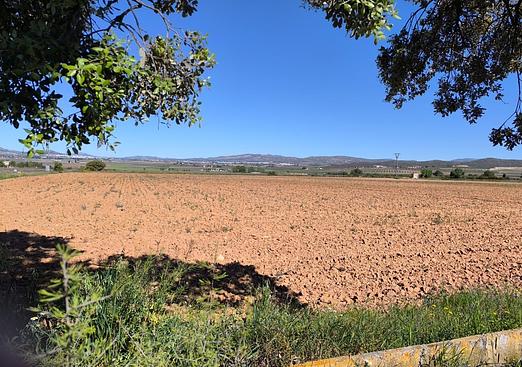 Land in Yecla