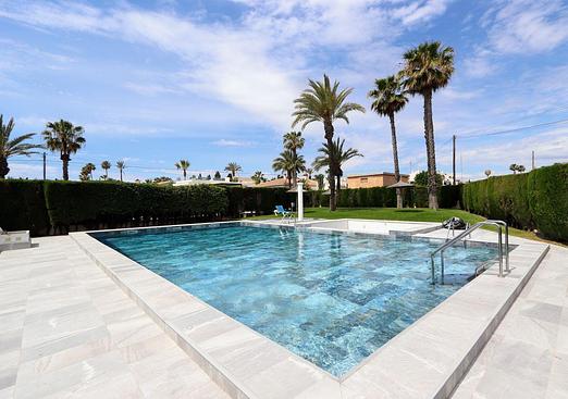 Apartment in Torrevieja