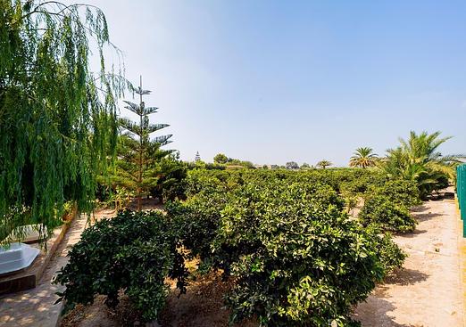 Country house in Almoradi
