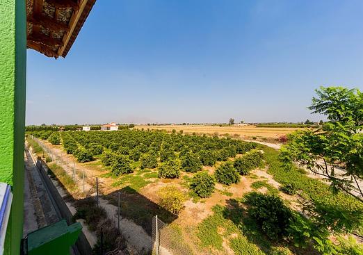 Country house in Almoradi