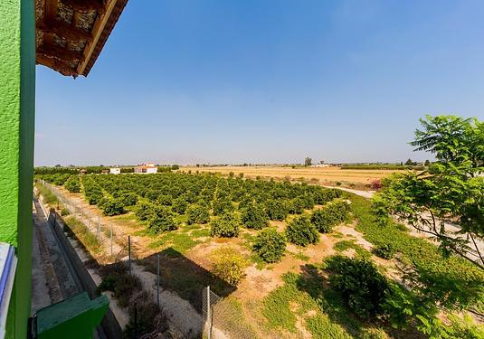 Country house in Almoradi