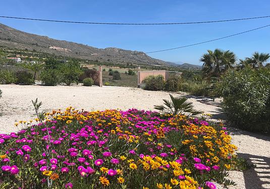 Villa in La Romana