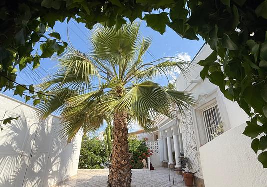 Town house in Torrevieja