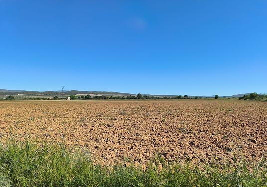 Land in Yecla