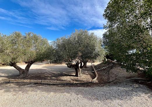 Country house in El Esparragal