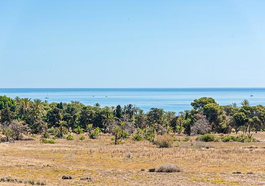 Apartment in Torrevieja