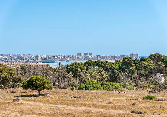 Apartment in Torrevieja