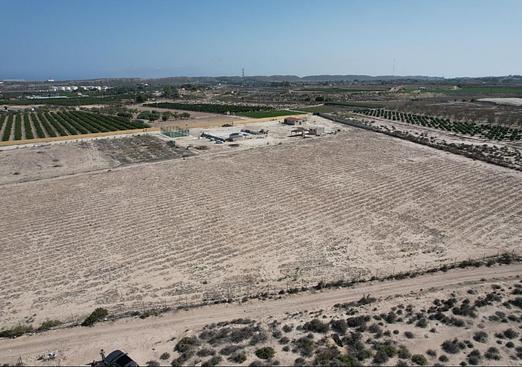 Land in Alicante