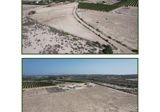 Land in Alicante