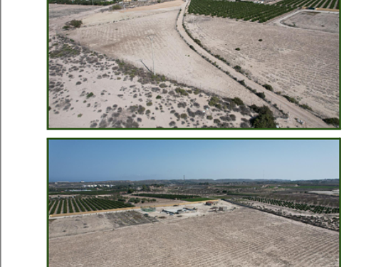 Land in Alicante