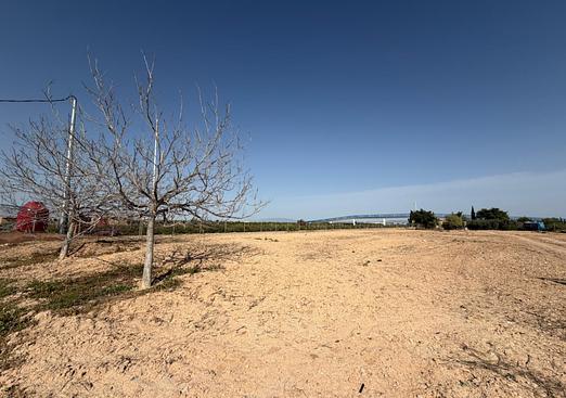 Property in Torre Pacheco