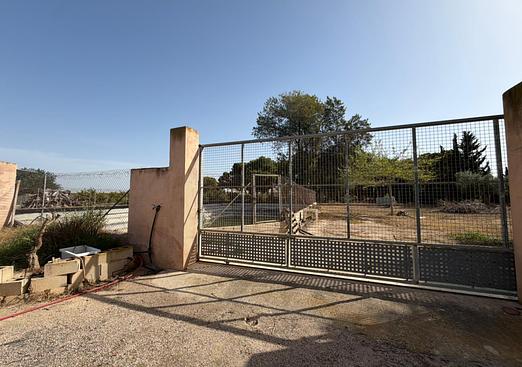 Property in Torre Pacheco