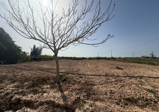 Property in Torre Pacheco