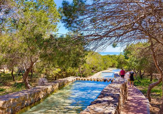 Apartment in Torrevieja