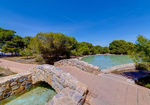 Apartment in Torrevieja