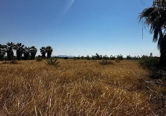 Land in Elche
