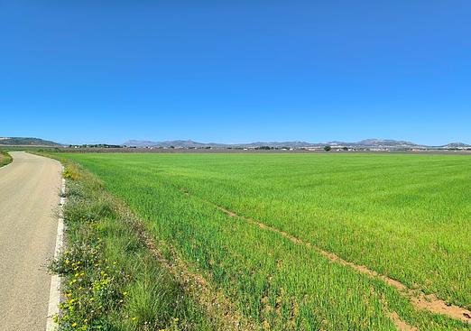 Land in Yecla