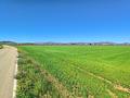 Land in Yecla