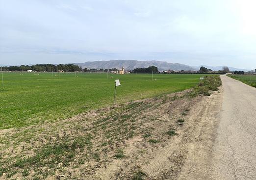 Land in Villena