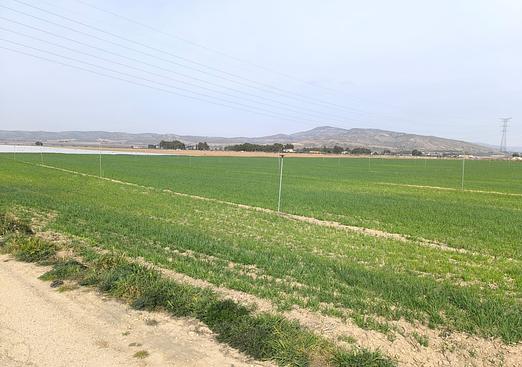 Land in Villena