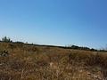Land in Elche