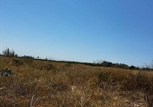 Land in Elche