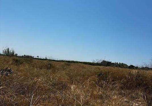Land in Elche