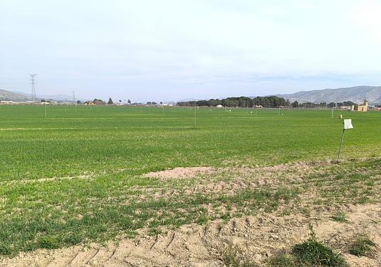 Land in Villena