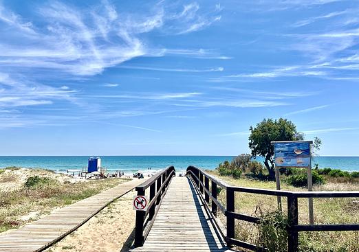 Apartment in La Mata