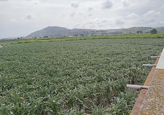 Country house in Orihuela