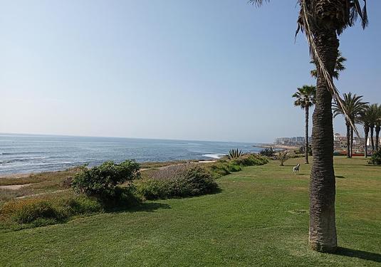 Apartment in Torrevieja