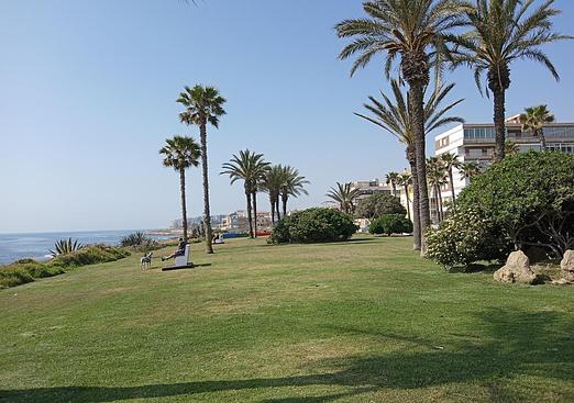Apartment in Torrevieja