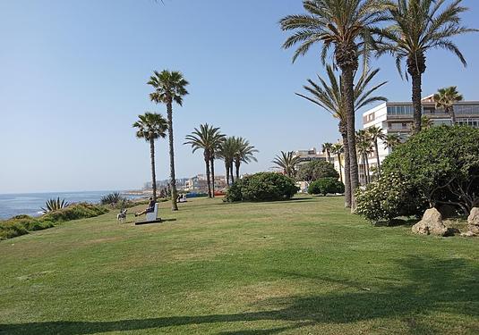 Apartment in Torrevieja