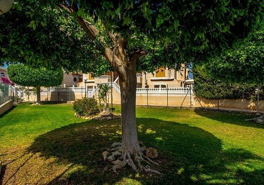 Quad house in Torrevieja