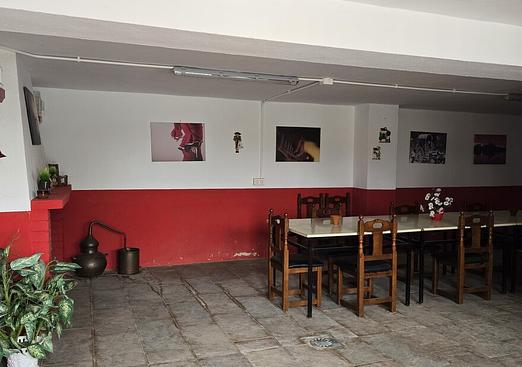 Finca in Niebla