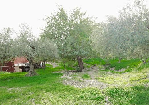 Country house in Alora