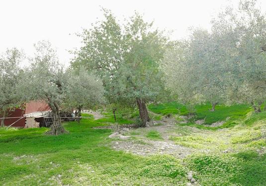Country house in Alora