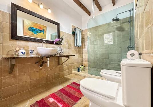 Country house in Alora