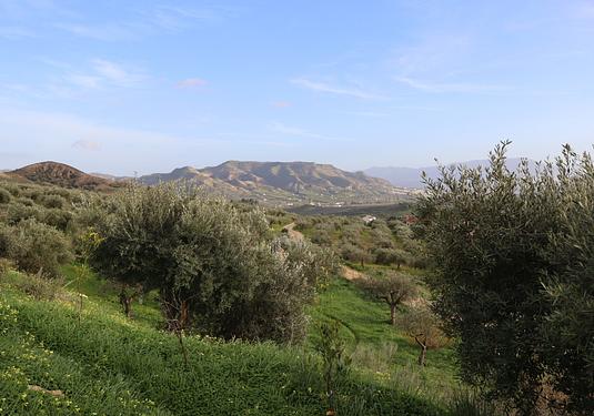 Country house in Alora