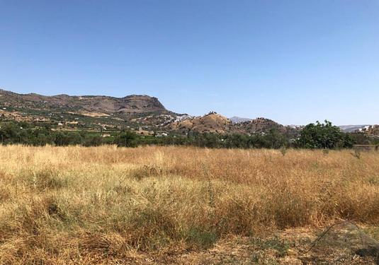 Country house in Alora