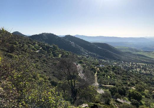 Finca in El Chorro