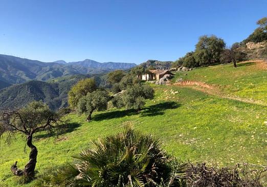 Finca in El Chorro
