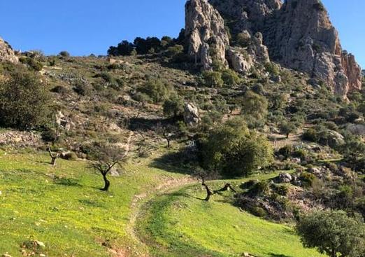 Finca in El Chorro