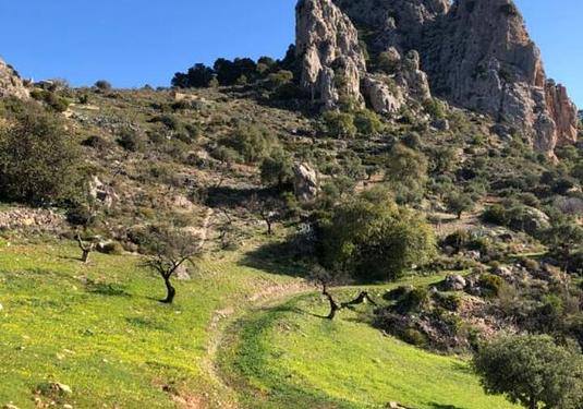 Finca in El Chorro