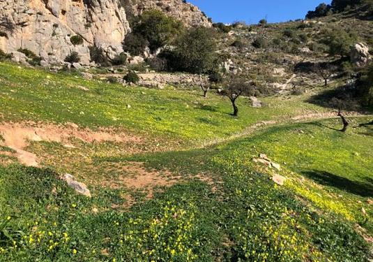 Finca in El Chorro