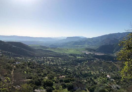 Finca in El Chorro