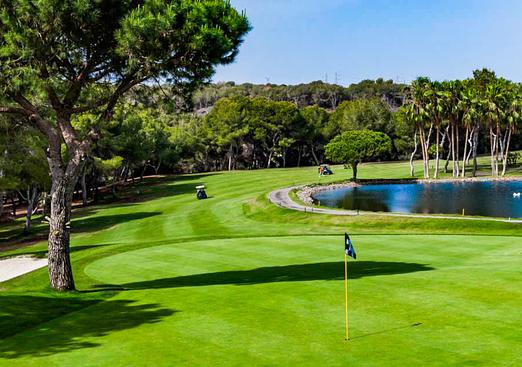 Apartment in Cabo Roig