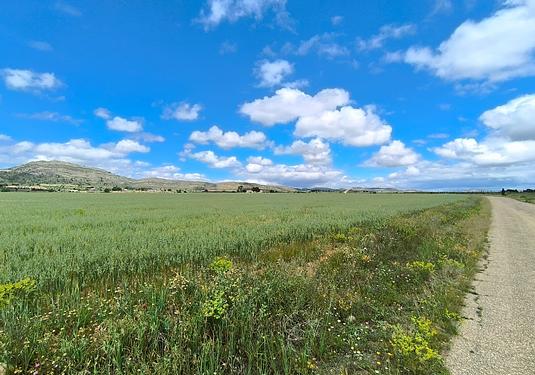 Land in Yecla