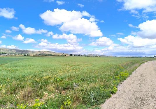 Land in Yecla