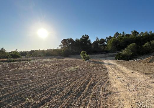 Land in Palma de Mallorca